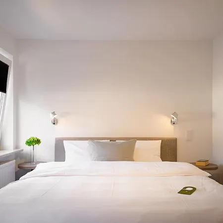 فيتيرشتاين 3*